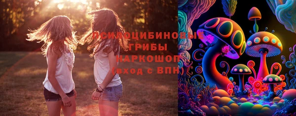 твердый Богородицк