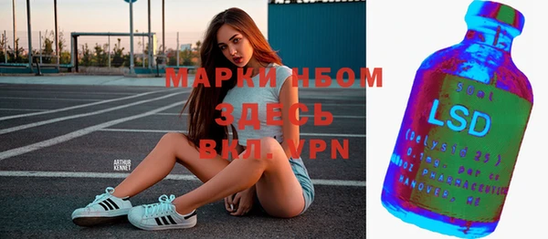 шишки Бородино