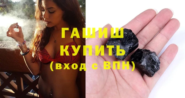 шишки Бородино