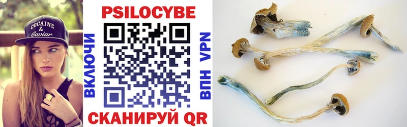 где купить наркотик Кушва blacksprut как зайти Псилоцибиновые грибы мицелий